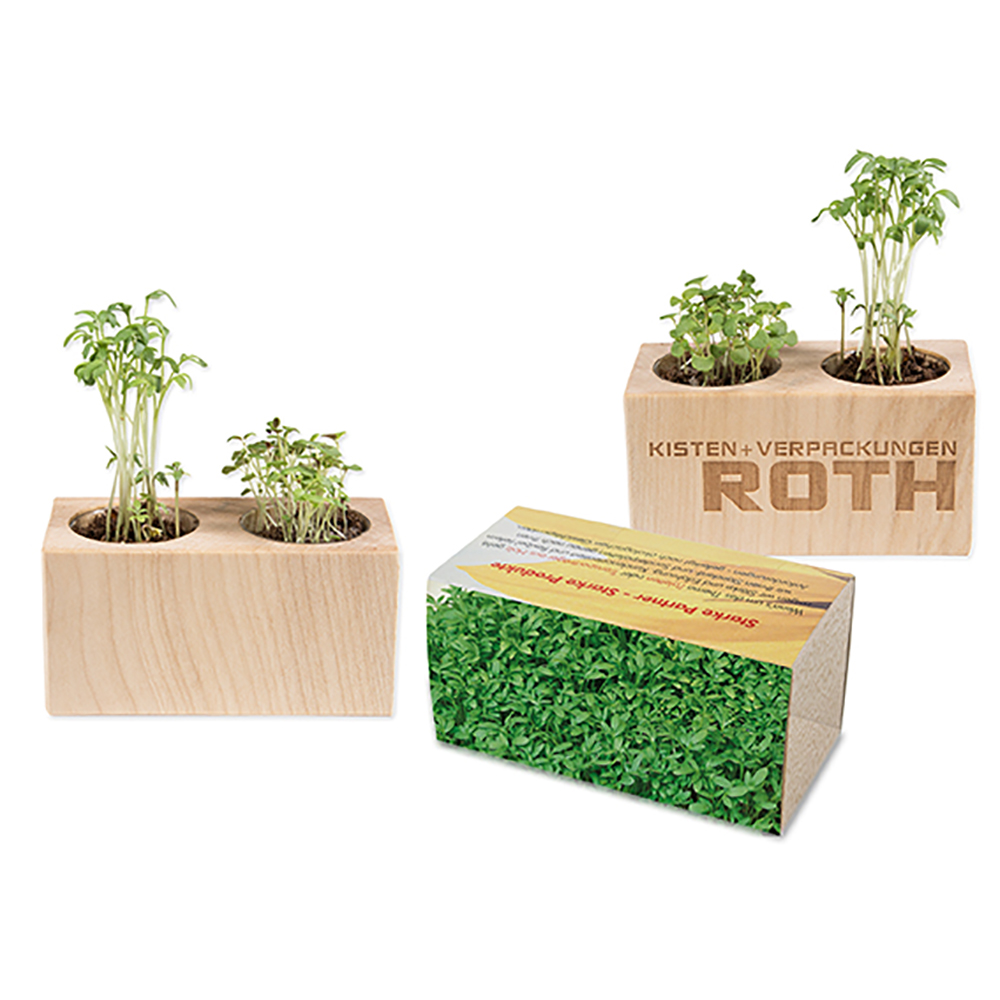 Pflanz-Holz 2er Set mit Samen
