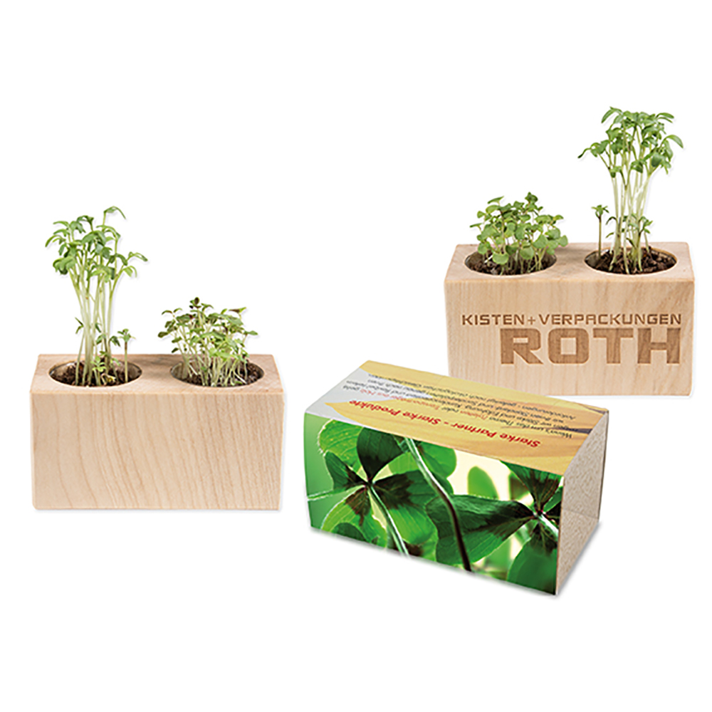 Pflanz-Holz 2er Set mit Samen