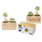 Pflanz-Holz 2er Set mit Samen