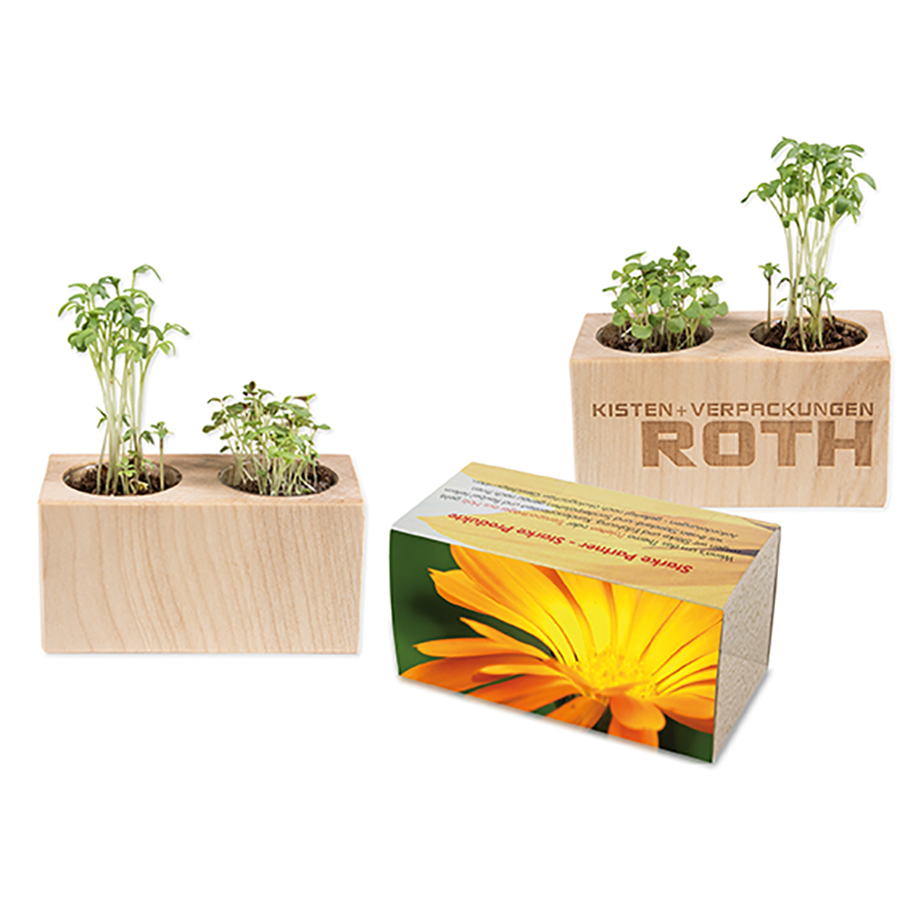 Pflanz-Holz 2er Set mit Samen