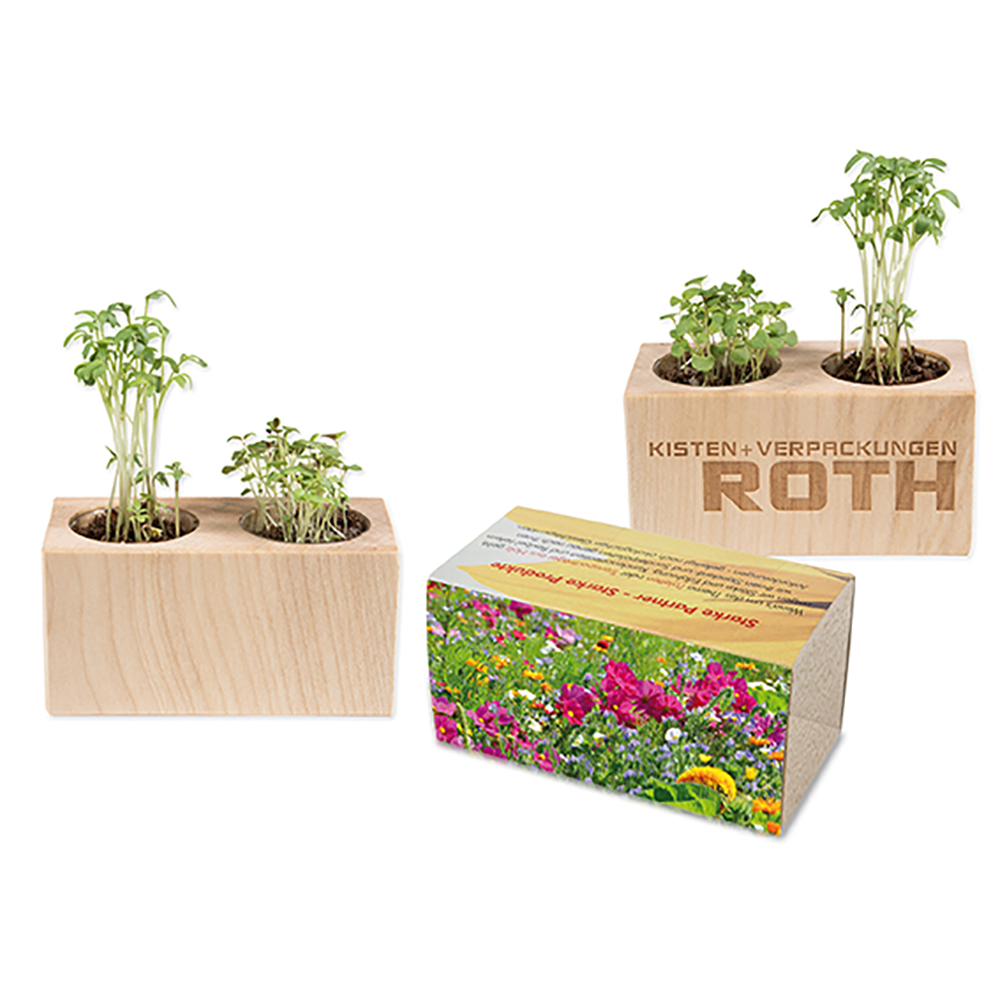 Pflanz-Holz 2er Set mit Samen