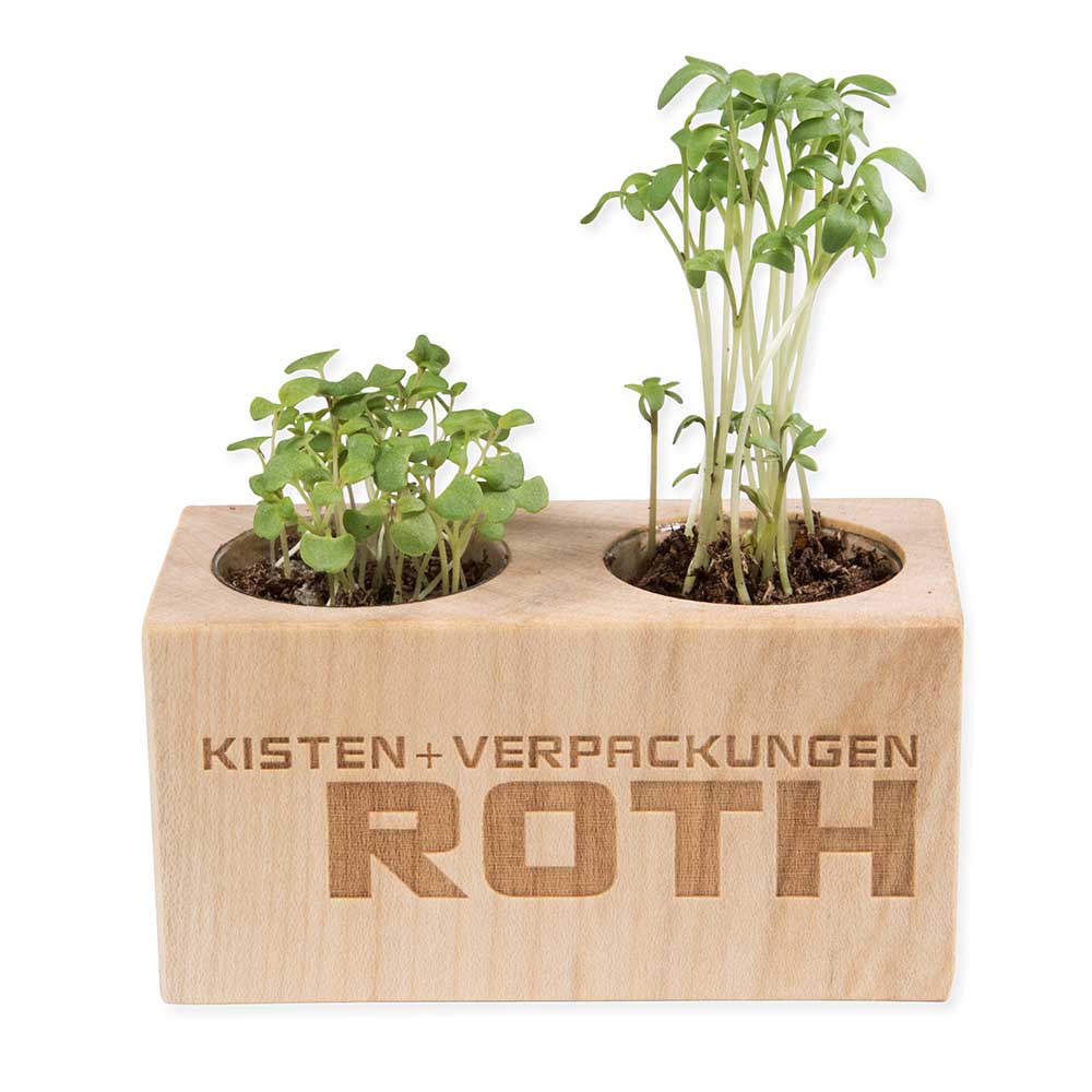 Pflanz-Holz 2er Set mit Samen - Basilikum, 1 Seite gelasert