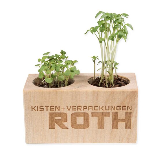 Pflanz-Holz 2er Set mit Samen - Fichte, 2 Seiten gelasert