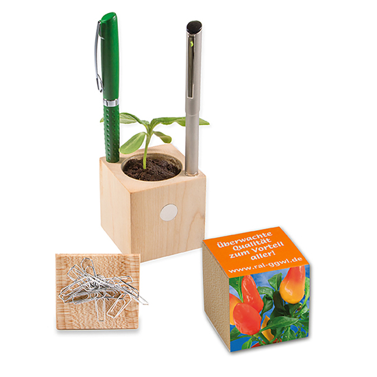 Pflanz-Holz Büro mit Samen