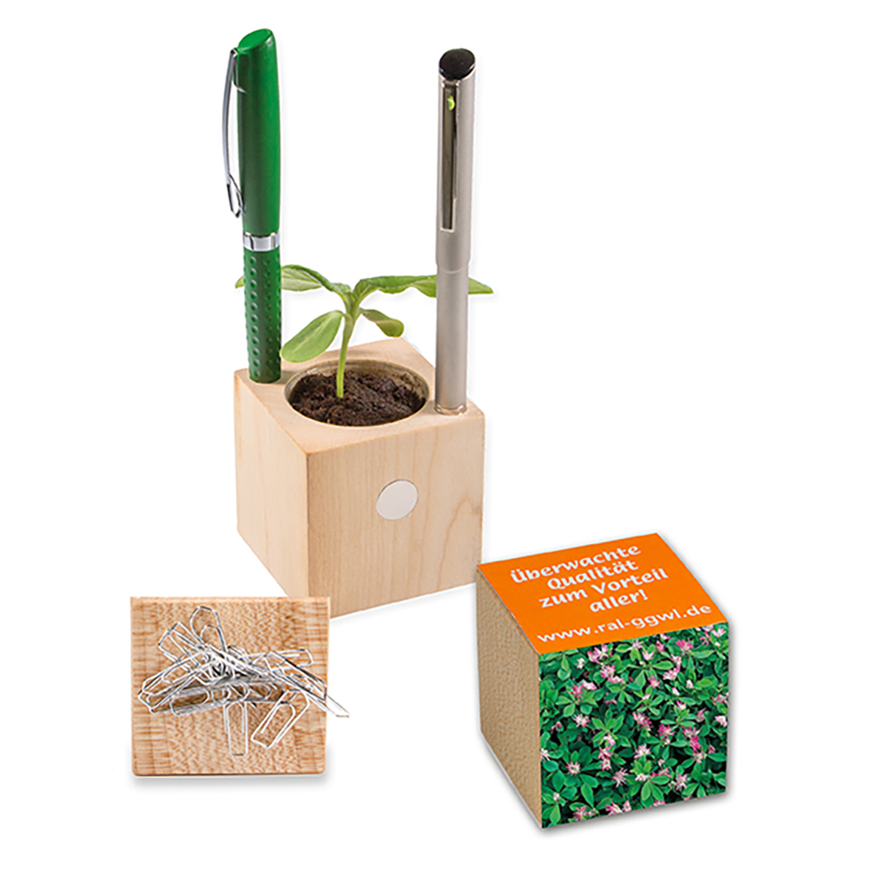 Pflanz-Holz Büro mit Samen