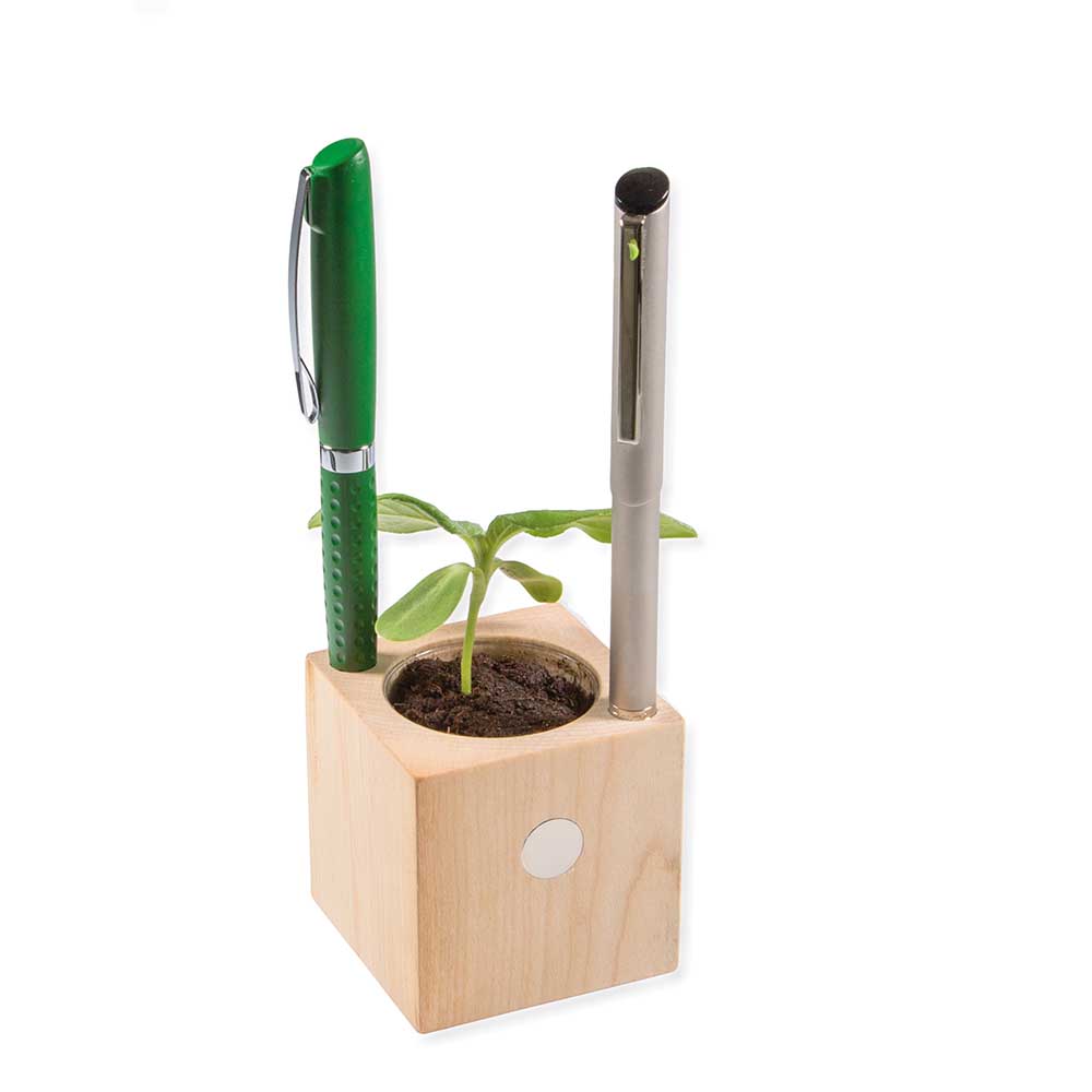 Pflanz-Holz Büro mit Samen - Sonnenblume, 1 Seite gelasert