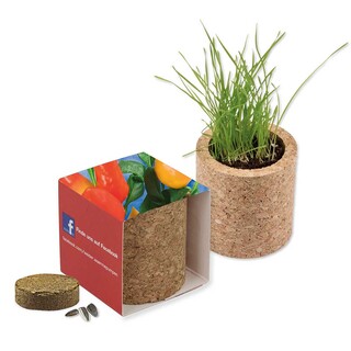 Pflanz-Kork rund mit Samen - Gewürzpaprika