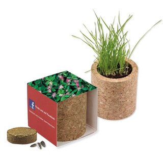 Pflanz-Kork rund mit Samen - Persischer Klee