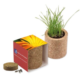 Pflanz-Kork rund mit Samen - Ringelblume