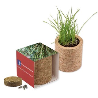 Pflanz-Kork rund mit Samen - Thymian