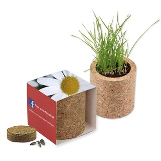 Pflanz-Kork rund mit Samen - Margerite, Rundum-Lasergravur