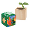 Pflanz-Holz Star-Box mit Samen