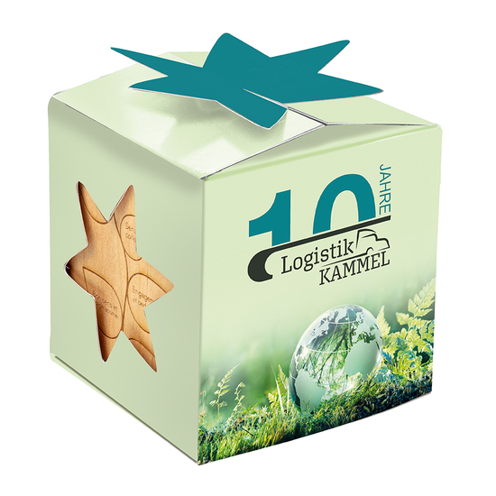 Pflanz-Holz Star-Box mit Samen
