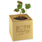 Pflanz-Holz Star-Box mit Samen