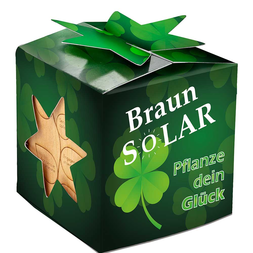 Pflanz-Holz Star-Box mit Samen - Glücksklee-Zwiebel, 1 Seite gelasert (* Je nach Verfügbarkeit der Glücksklee-Zwiebeln)