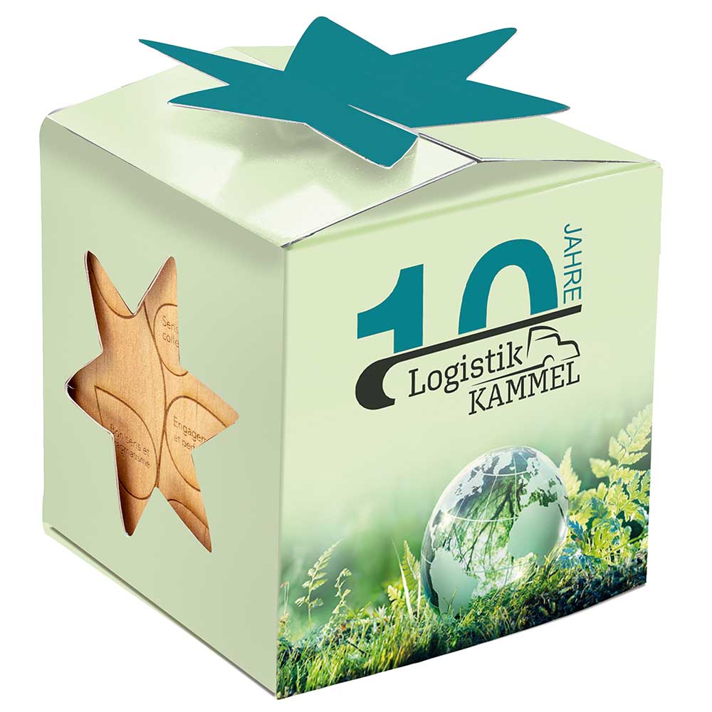 Pflanz-Holz Star-Box mit Samen - Sommerblumenmischung, 2 Seiten gelasert
