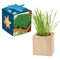 Pflanz-Holz Maxi Star-Box mit Samen
