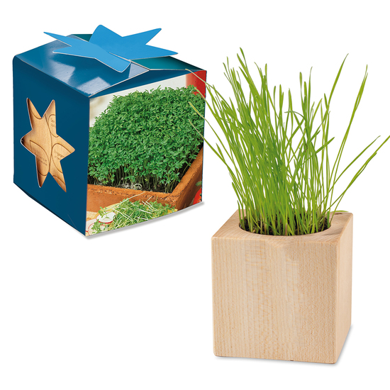 Pflanz-Holz Maxi Star-Box mit Samen