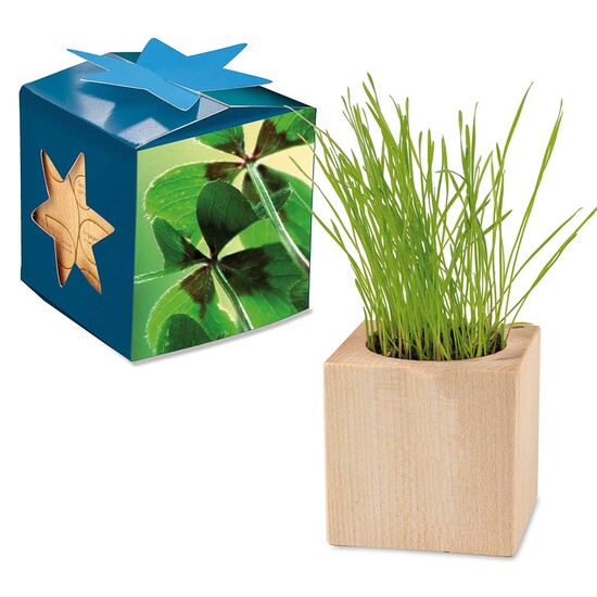 Pflanz-Holz Maxi Star-Box mit Samen - Glücksklee-Zwiebel, 1 Seite gelasert (* Je nach Verfügbarkeit der Glücksklee-Zwiebeln)