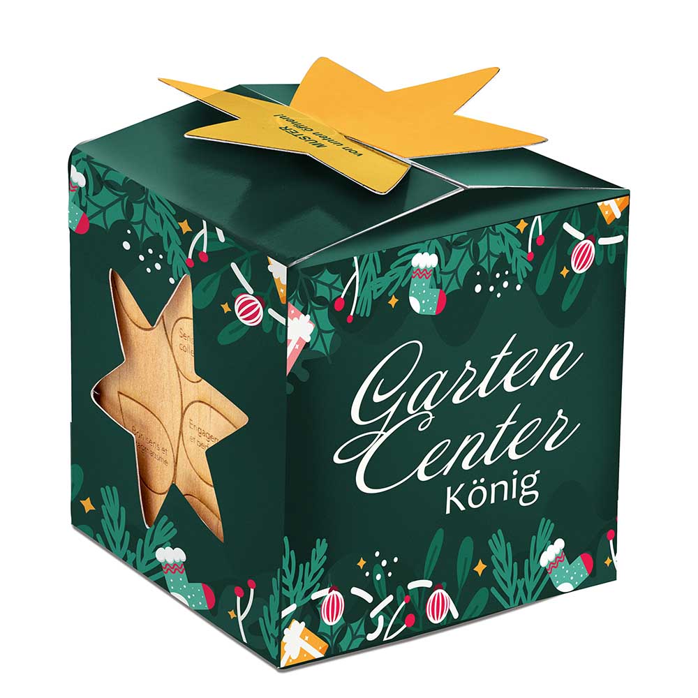 Pflanz-Holz Maxi Star-Box mit Samen - Sommerblumenmischung, 1 Seite gelasert