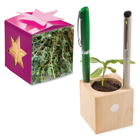 Pflanz-Holz Büro Star-Box mit Samen