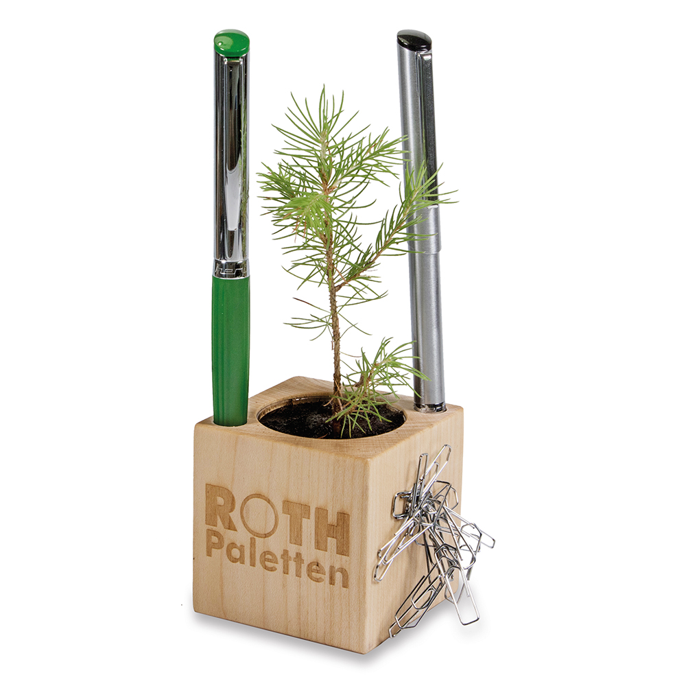 Pflanz-Holz Büro Star-Box mit Samen