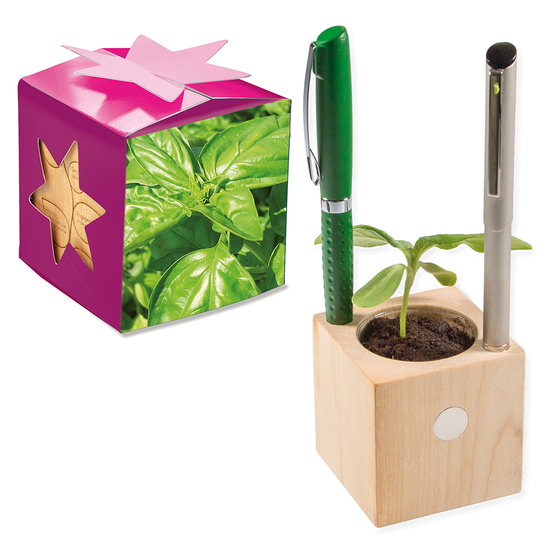 Pflanz-Holz Büro Star-Box mit Samen