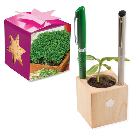 Pflanz-Holz Büro Star-Box mit Samen