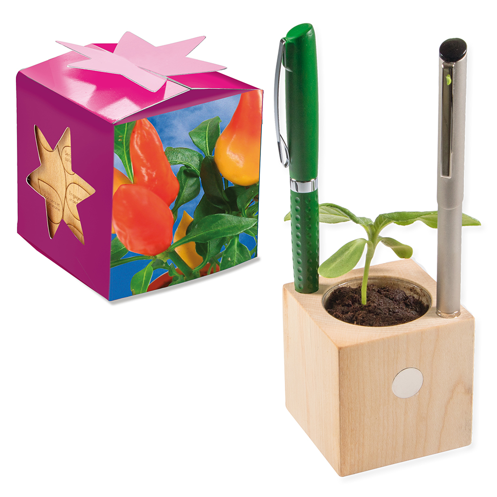 Pflanz-Holz Büro Star-Box mit Samen
