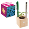 Pflanz-Holz Büro Star-Box mit Samen