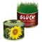 Natur-Konserve mit Samen