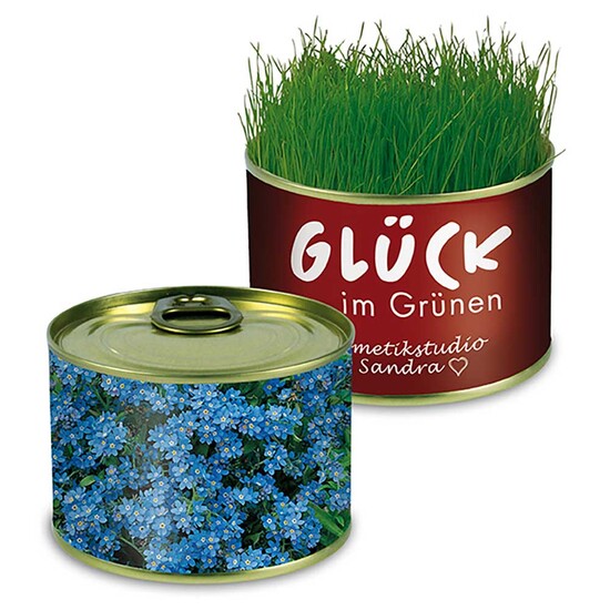 Natur-Konserve mit Samen - Vergissmeinnicht