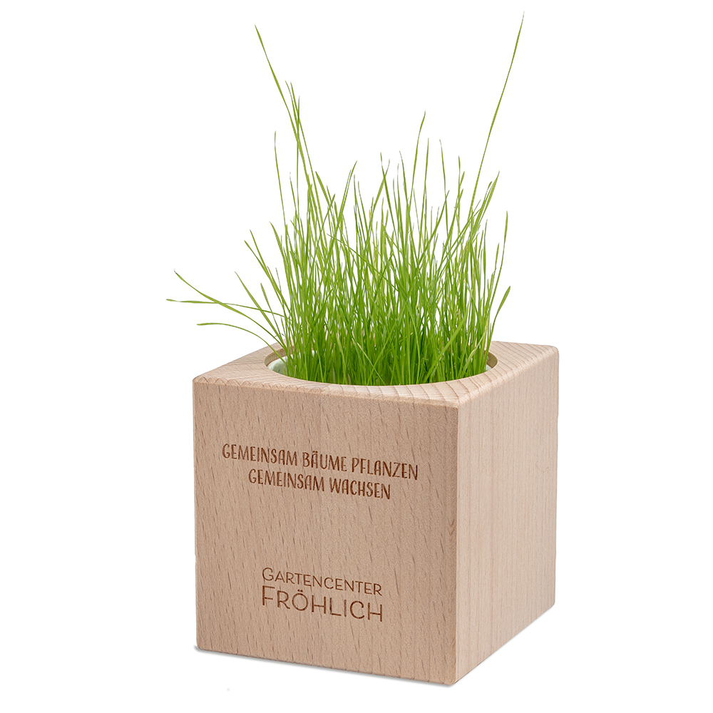 Pflanz-Holz Grande mit Samen