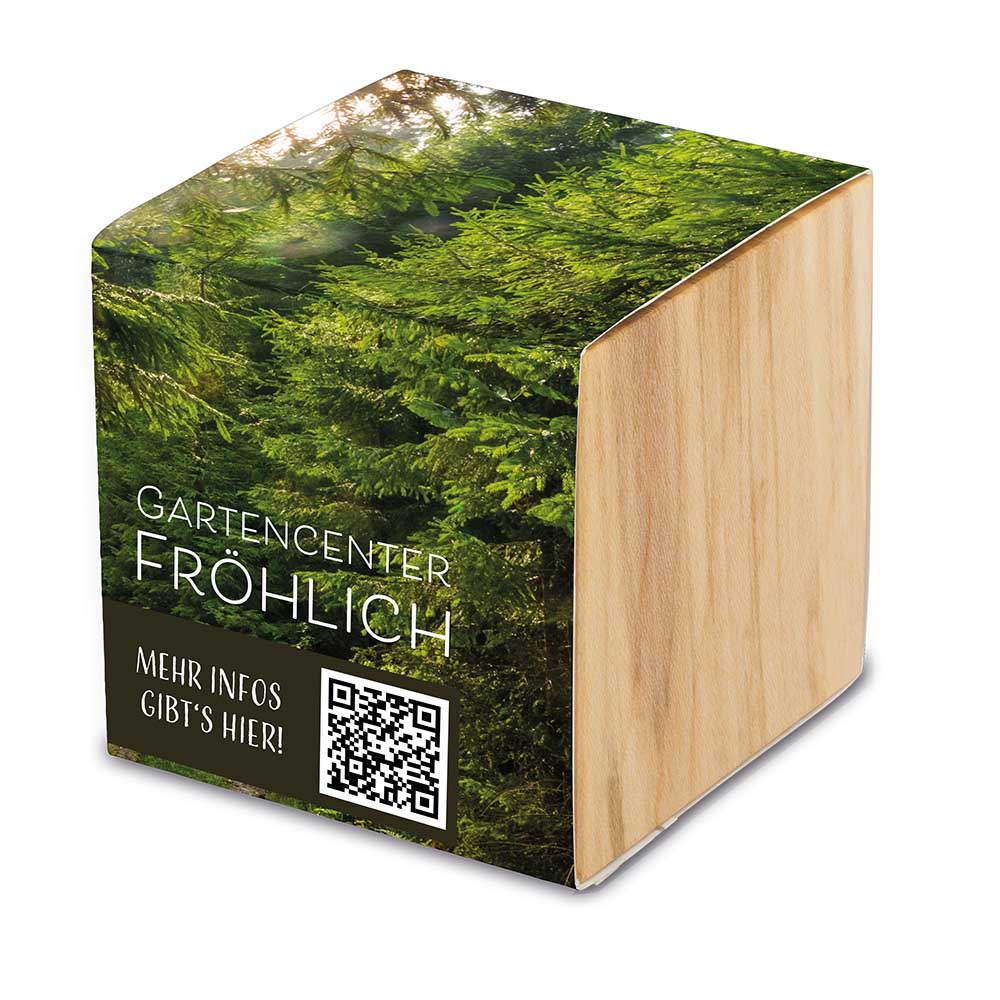 Pflanz-Holz Grande mit Samen - Kräutermischung