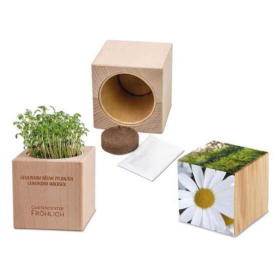 Pflanz-Holz Grande mit Samen - Margerite, 1 Seite gelasert