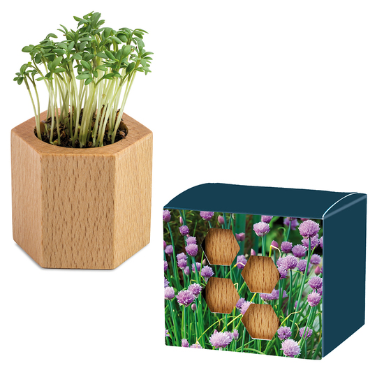 Pflanz-Holz Hexagon mit Samen