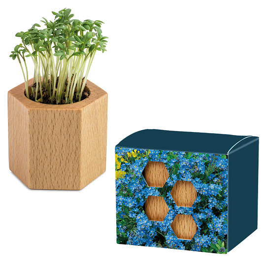 Pflanz-Holz Hexagon mit Samen
