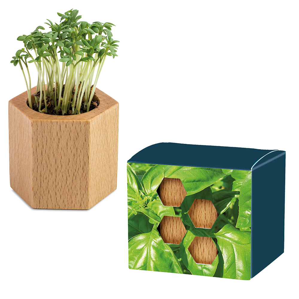 Pflanz-Holz Hexagon mit Samen