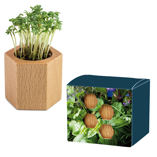Pflanz-Holz Hexagon mit Samen