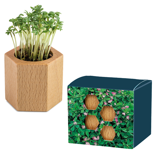 Pflanz-Holz Hexagon mit Samen