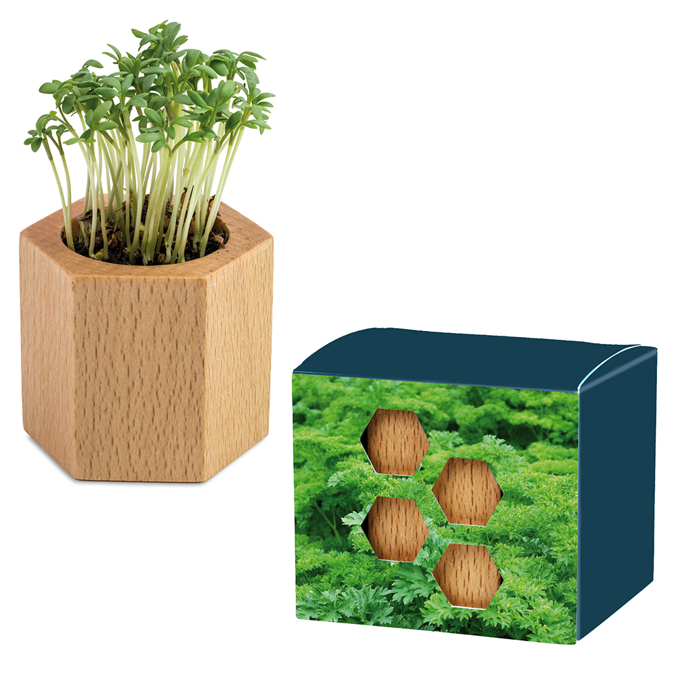 Pflanz-Holz Hexagon mit Samen