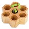 Pflanz-Holz Hexagon mit Samen - Kräutermischung