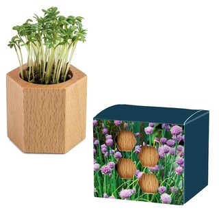 Pflanz-Holz Hexagon mit Samen - Schnittlauch