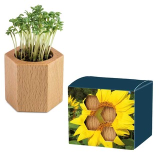 Pflanz-Holz Hexagon mit Samen - Sonnenblume