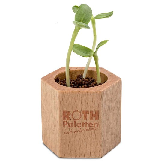 Pflanz-Holz Hexagon mit Samen - Ringelblume, 1 Seite gelasert