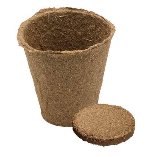 Kräutertöpfchen Samenset