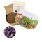 Microgreen Samen Pflanzset (klein)