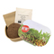 Microgreen Samen Pflanzset (klein)