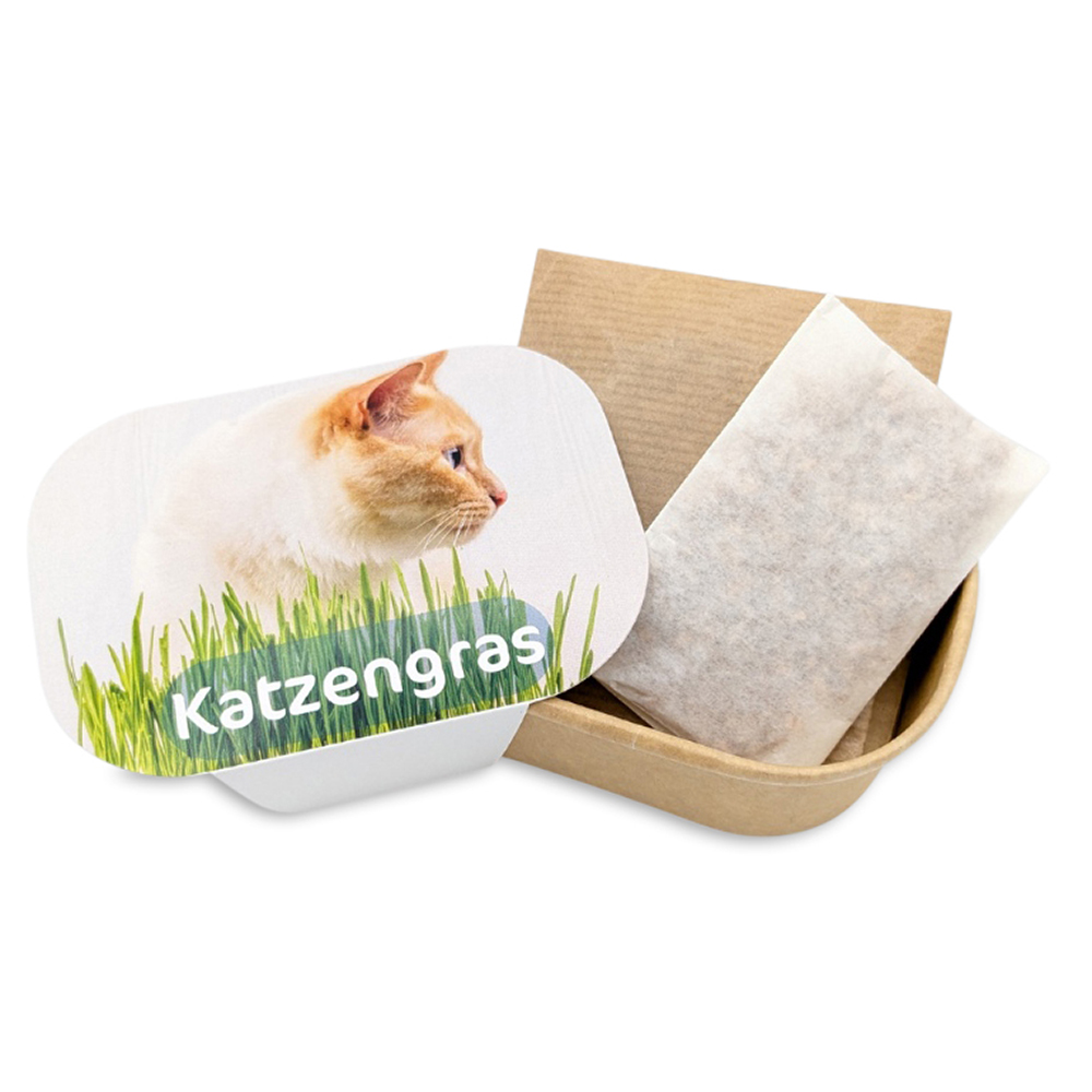 Katzengras Pflanzset