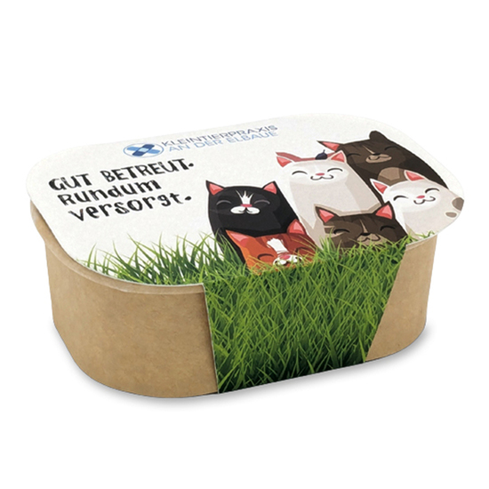 Katzengras Pflanzset